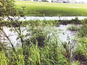 A group of residents in Davidson Creek is using a photo of the creek running through their park flooding on to the walking path in an effort to prove their theory that the creek is dangerous for children.

Photo Supplied