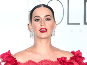 Katy Perry. (WENN.COM)