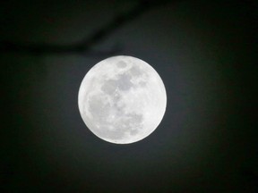 The full moon appears through haze and tree branches in Lawrence, Kan., Saturday, Jan. 23, 2016. (AP Photo/Orlin Wagner)