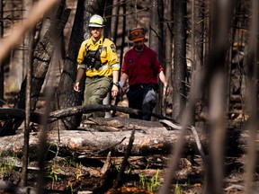 Firefighter come out of the bush after checking for hotspots at Gregoire Lake Provincial Park on May, 31 2016. (Greg Southam photo)