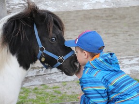 Tyler Bastin plants a smooch on his favourite mini horse, Topper, during their last evening together as part of the new Mini Wheats program held at Rainbow Stables in Timmins.