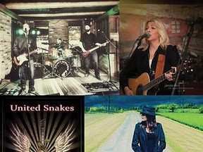 Doug Clayfield Trio, Wendy Lynn Snider, United Snakes and One Ugly Cowboy will be on stage at Turtlefest on Saturday, June 18 in Memorial Park. (Submitted Photos)