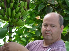 Terry Brake is Canada's only banana farmer. (File photo)