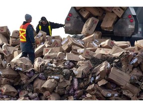 A Canada Food Inspection Agency employee, left, looks on as beef from the XL Foods cattle processing plant is dumped at a landfill site near Brooks, Alta., on Oct. 22, because of E coli contamination. Jeff McIntosh / THE CANADIAN PRESS