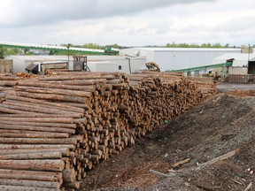 Timber yard at the Eacom sawmill in Timmins