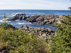 Coastline from the forest on Monhegan Island, Maine. (SeashoreDesign/Getty Images)