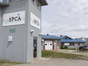 The Grande Prairie SPCA in Grande Prairie, Alta., closed its doors May 31, 2016, after posting a $250,000 deficit.
