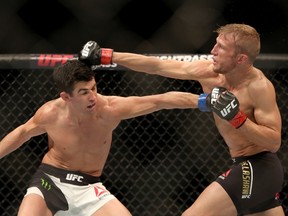 Dominick Cruz (left) throws a punch against T.J. Dillashaw during a UFC bantamweight title match in Boston on Jan. 17, 2016. Cruz will defend his title on Saturday in Los Angeles. (Gregory Payan/AP Photo)