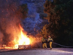 Firefighters approach a brush fire in the foothills outside of Calabasas, Calif. on Saturday, June 4, 2016. A fast-moving brush fire sweeping through hills northwest of downtown Los Angeles has damaged homes and prompted neighborhood evacuations. Los Angeles County fire officials now say the brushfire is threatening about 3,000 homes in the Calabasas neighborhood. (AP Photo/Richard Vogel)
