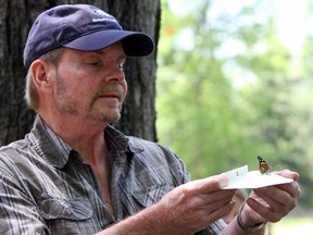 Rick Wanless releases a butterfly during Hospice Kingston's Wings for Serenity fundraising event on May 28. (Steph Crosier/The Whig-Standard)