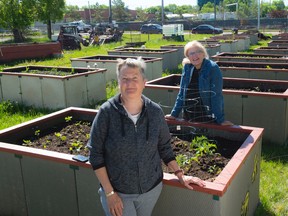 Debbie Reid and Jane Molstad are helping rebuild Edmonton's inner city neighbourhoods, one vegetable plant at a time.