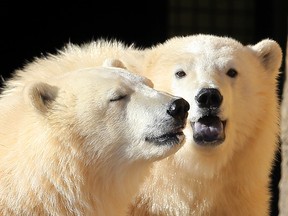 Sustainability Day will be held Tuesday at Assiniboine Park Zoo. (Brian Donogh/Winnipeg Sun file photo)