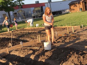 Maisy Jefferson digging a trench through one if the garden beds.