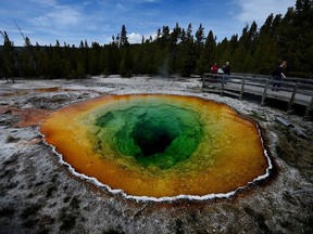 Yellowstone National Park in Wyoming on May 14, 2016. Mark Ralston/AFP/Getty Images