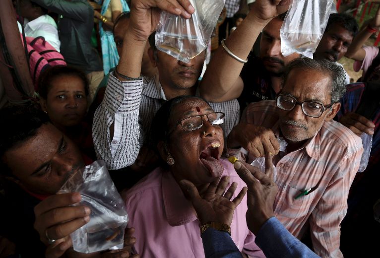 Thousands swallow live sardines with herbal paste to cure asthma Toronto Sun