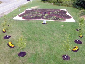 The large poppy garden is the centerpiece of the Remembrance Garden, cared for by the Remember November 11 Association.