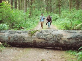 Max Minghella and Ellen Page in Into The Forest. (Elevation Pictures)