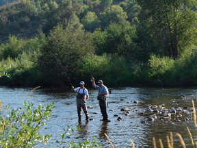 In this Aug. 19, 2015 photo, men are seen fly fishing on the Yampa River near downtown Steamboat Springs, Colo. Steamboat Springs, is known as a skier's haven with Champagne powder snow but there's plenty to do here in summer too. (John Lumpkin via AP)