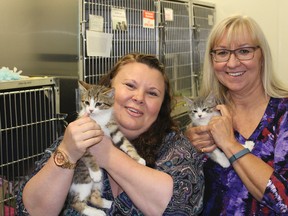 Kingston Humane Society volunteer co-ordinator Tanya Wilson, left, with executive director Connie Ball. (Jane Willsie/Whig-Standard file photo)