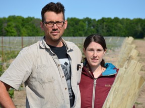 Craig Horlor, vineyard manager, and Ashley Horlor, Vice President of operations at the newly established Dark Horse Estate Winery near Grand Bend. (John Miner/The London Free Press)