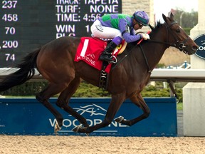Luis Contreras guides Gamble’s Ghost to victory at the Grade II Selene Stakes at Woodbine. (Michael Burns/photo)