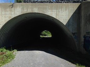 The K&P Trail tunnel under Highway 401.
Elliot Ferguson/The Whig-Standard/Postmedia Network