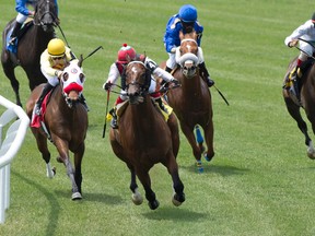 Jockey Luis Contreras guides Fireball Merlin to victory in the first EuroTurf race at Woodbine. (Michael Burns, photo)