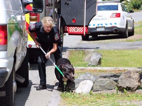 Four women were rushed to hospital Friday afternoon after they tried to break up a fight between their three pit bulls. Photos courtesy of Shane Mackichan. (Postmedia Network files)