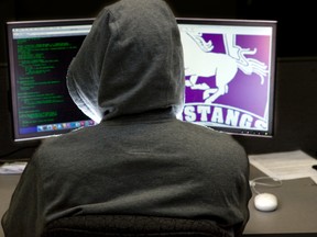 Illustration of a computer system being hacked. (DEREK RUTTAN/Postmedia Network)