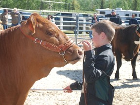 Noah McLean, a junior member of the Arrowwood 4-H Beef Club, took part in the Vulcan District 4-H Beef Achievement Day, May 30 at the Vulcan rodeo grounds.