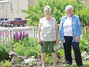 Sandra Schwanke, left, and Noreen Robbins are members of the Pincher Planters. The organization focuses on beautifying 12 areas around town including the hanging baskets that the streetlights will soon be boasting. But they say they need more volunteers in order to handle their growing workload. | Caitlin Clow photo/Pincher Creek Echo