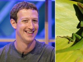 Only one of these photos is of Mark Zuckerberg. (KAY NIETFELD/AFP/Getty Images/Richard Heathcote/Getty Images)
