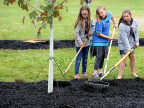 Hillcrest Public School students Bethany Armstrong, 10, Savannah Price, 10, and Emily Allison, 10, l-r, help plant a Veterans Memorial Garden in the back of the school on Wednesday. (MORRIS LAMONT, The London Free Press)