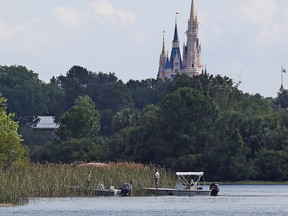 In the shadow of the Magic Kingdom, Florida Fish and Wildlife Conservation Officers search for the body of a young boy on June 15, 2016, after the boy was snatched off the shore and dragged underwater by an alligator Tuesday night at Grand Floridian Resort at Disney World in Lake Buena Vista, Fla. (Red Huber/Orlando Sentinel via AP)