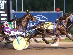 Betting Line, seen here winning Saturday’s eliminator, is the 5-2 favourite to take the $1-million North America Cup at Mohawk for trainer Casie Coleman. (NEW IMAGE MEDIA)