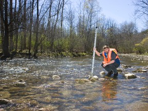 Mark Shifflett stands in Medway Creek, a tributary of the Thames River. The Thames is the biggest Canadian source of phosphorus entering Lake Erie. (File photo)