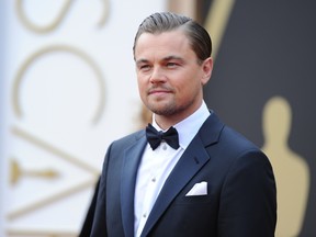 Nominee for Best Actor in "The Wolf of Wall Street" Leonardo DiCaprio arrives on the red carpet for the 86th Academy Awards on March 2nd, 2014 in Hollywood, California. DiCaprio has been called to testify in the ongoing 'Wolf of Wall Street' libel trial. AFP PHOTO / Robyn BECK