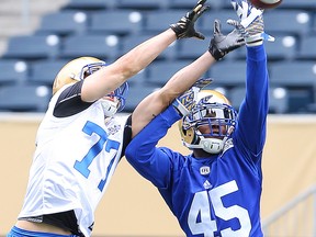 Winnipeg Blue Bombers wide receiver Alex Vitt (left) and defensive back CJ Wilson fight for the ball during CFL football practice last month. Vitt was cut by the team on Friday, June 17, 2016. (Brian Donogh/Winnipeg Sun file photo)
