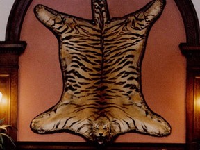 A tiger skin is seen on the wall at the former Bengal Lounge at Victoria's Fairmont Empress Hotel in Victoria, B.C. in this undated handout photo. Victoria Police are on the hunt for a tiger skin stolen off the wall of one of the city's historic watering holes. Police say the tiger pelt that was a traditional fixture at the former Bengal Lounge at Victoria's Fairmont Empress Hotel was stolen this week. THE CANADIAN PRESS/HO, VICPD