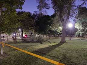 The scene in Trinity Bellwoods Park after a tree branch fell and killed a man on Friday night (Photo by Pascal Marchand)