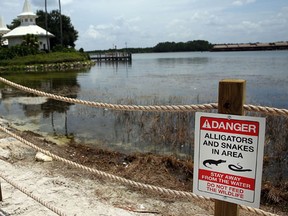 ORLANDO, FL - Newly installed signs warn of alligators and snakes on a closed section of beach following the death of a 2-year-old boy who was killed by an alligator near a Walt Disney World hotel on June 18, 2016 in Orlando, Florida. Lane Graves, who was visiting Disney World with his family from Nebraska, died after he was pulled into the lagoon by an alligator on Tuesday. (Spencer Platt/Getty Images/AFP)