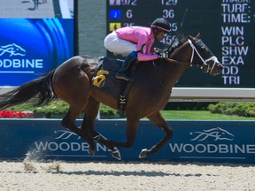 Jockey Patrick Husbands guides Shez a Ten I Know on his way to capturing his 3,000 win riding at Woodbine yesterday. (Michael Burns/photo*