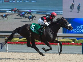 Jockey Jesse Campbell guides Hot Kiss to victory in the Trillium Stakes at Woodbine yesterday. (Michael Burns/Photo)
