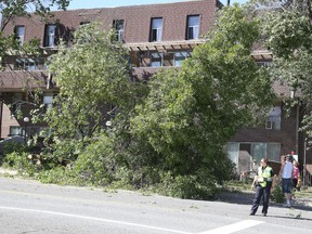 Gino Donato/Sudbury Star 
A Greater Sudbury Police Services officer directs traffic around a fallen tree on Ste. Anne Road in Sudbury on Monday. Wind gusts as high as 70 kilometres per hour snapped some area trees. The forecast for Tuesday calls for a mix of sun and cloud and a high of 21 degrees C.