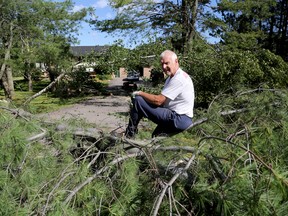 Emily Mountney-Lessard/The Intelligencer
Stockdale-area resident Tony Quance is shown here outside his home with various trees that were downed during severe weather during the evening on Monday.