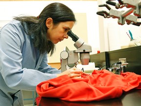 Rachel McQueen examines some clothing in the lab at the University of Alberta in Edmonton on Wednesday June 22, 2016. She is conducting some research on fabrics to determine which are susceptible to bad odours and is looking for donations of smelly clothes. LARRY WONG/Postmedia Network