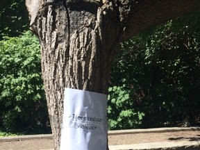 A sign criticizing plans to cut down trees in Eglinton Park for construction of the nearby Avenue Station on the Crosstown LRT line. (Submitted)