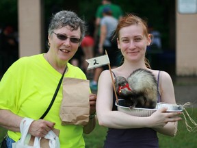 A photo from 2015's Ferret Follies event.
