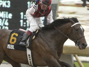 In 2003, jockey Todd Kabel had the tough choice of riding either Mobil or Wando in the 2003 Queen’s Plate. He chose Mobil, which turned out to be a bad decision as Patrick Husbands rode Wando to victory. (Michael Burns/File Photo)
