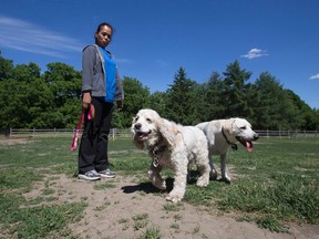Dog owners have complained there is a shortage of water and shade areas in Earl Bales Park. (Stan Behal/Toronto Sun)